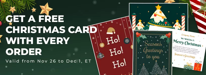 Black Friday Deal-10