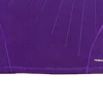 50895e1c8194ec134d960f3be94f6c18