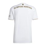 10238847-adidas-fc-bayern-muenchen-trikot-away-2022-2023-1