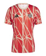 10299530-adidas-fc-bayern-muenchen-prematch-shirt-2024-2025