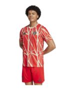 10299530-adidas-fc-bayern-muenchen-prematch-shirt-2024-2025-3