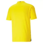 borussia-dortmund-frauen-trikot-2020-21_backview